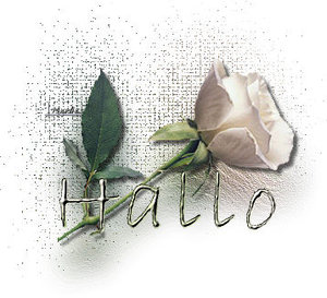 Plaatjes Hello 