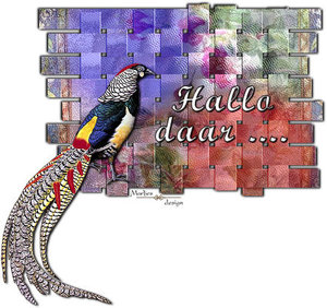 Plaatjes Hello 