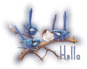 Plaatjes Hello 