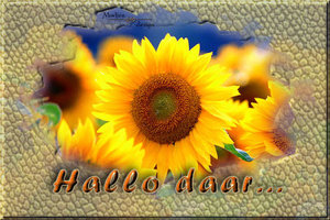 Plaatjes Hello 