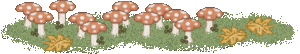 Plaatjes Herfst 