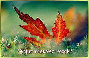 Plaatjes Herfst 