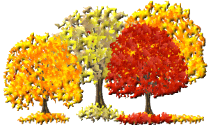 Plaatjes Herfst 