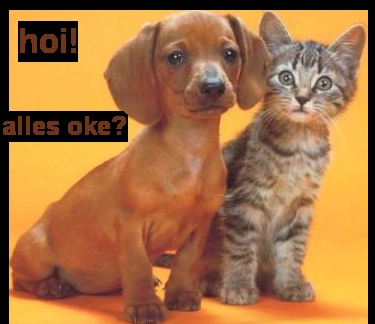 Honden Plaatjes Hoi Alles Oke