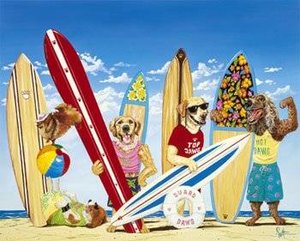 Honden Plaatjes 