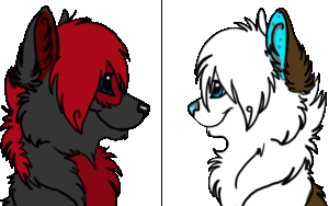 Honden Plaatjes 