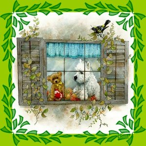 Honden Plaatjes 