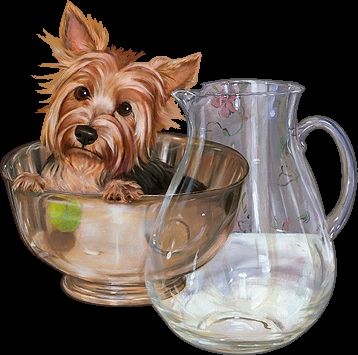 Honden Plaatjes 
