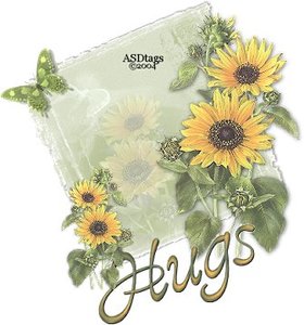 Plaatjes Hugs 