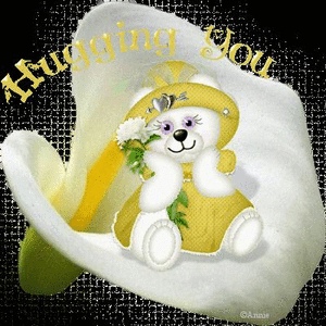 Plaatjes Hugs 