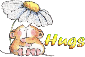Plaatjes Hugs 
