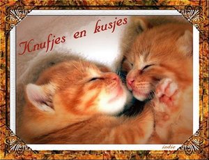 Plaatjes Hugs 