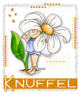 Plaatjes Hugs 