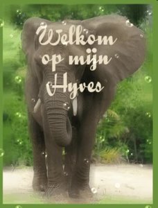 Plaatjes Hyves krabbels 
