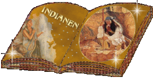 Plaatjes Indianen 