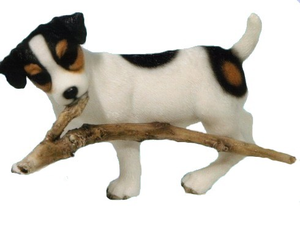 Jack russel Plaatjes Jack Russel Pup Met Tak