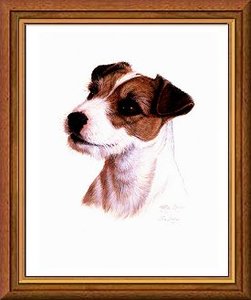 Jack russel Plaatjes 