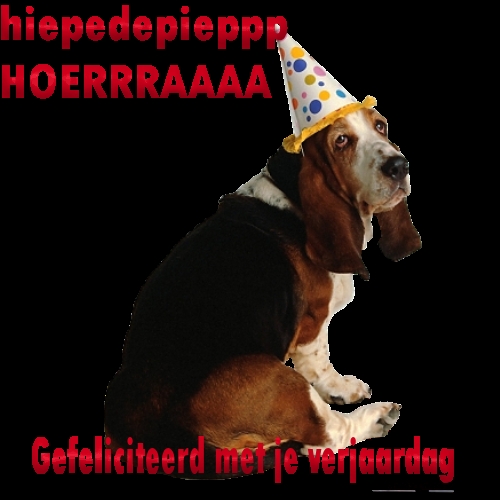 Jarig Plaatjes Hoera Jarig Hond