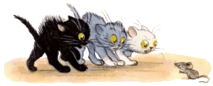 Katten Plaatjes 