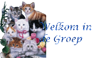 Katten Plaatjes 