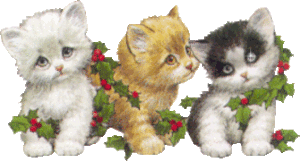 Katten Plaatjes 