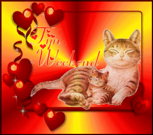 Katten Plaatjes 