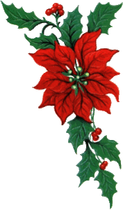 Plaatjes Kerst bloemen 