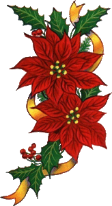 Plaatjes Kerst bloemen 