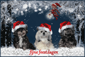 Plaatjes Kerst dieren Honden Kerstmuts Sneeuw Winter