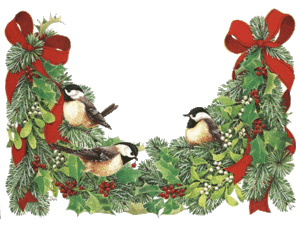 Plaatjes Kerst vogels 