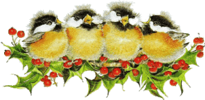 Plaatjes Kerst vogels 