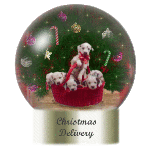 Plaatjes Kerstglobes 