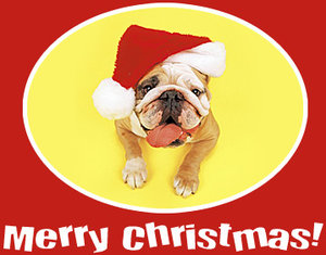 Plaatjes Kerstwensen 