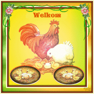 Kippen Plaatjes 