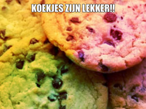 Koekjes Plaatjes 