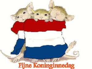 Koninginnedag Plaatjes 