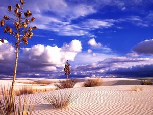 Plaatjes Landschappen 