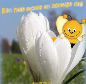 Plaatjes Lente 