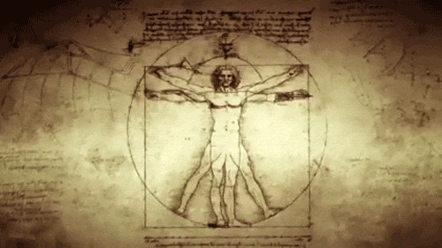 Plaatjes Leonardo da vinci Leonardo Da Vinci Vitrusman Verdwijnt