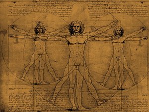 Plaatjes Leonardo da vinci Leonardo Da Vinci Vitrusmannen