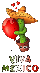 Mexico Plaatjes Pas Op! Een Cactus