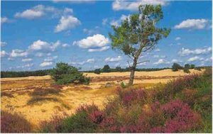 Natuur Plaatjes 