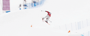 Plaatjes Olympische spelen 2014 Skieen Sochi 2014