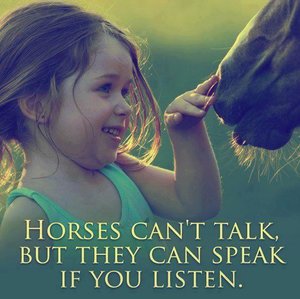Paarden Plaatjes 