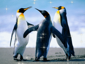Pinguins Plaatjes Pinguins
