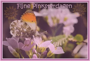 Plaatjes Pinksteren 