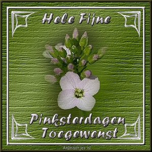 Plaatjes Pinksteren 