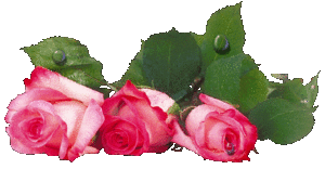 Rozen Plaatjes 