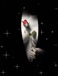 Rozen Plaatjes 