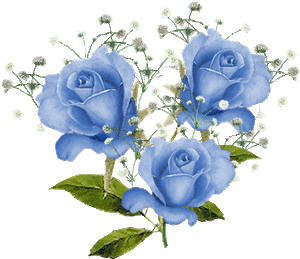 Rozen Plaatjes 
